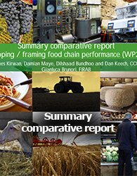 Summary comparative report