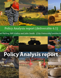 Policy Analysis report