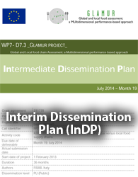 The Interim Dissemination Plan (InDP)