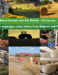 Case studies on asparagus value chains from Belgium and Peru