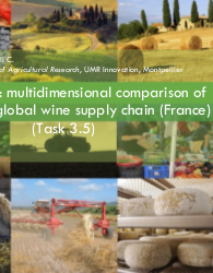 Case study: multidimensional comparison of a local and global wine supply chain in France