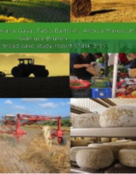 Italian case study: Global and local wheat-to-bread supply chains