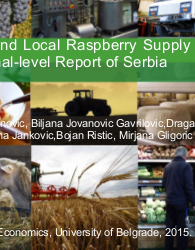 Global and Local Raspberry Supply Chains: National-level Report of Serbia