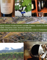 Sustainability assessment of a local wine value chain in Switzerland