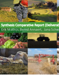 Synthesis Comparative Report