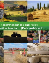 Policy Recommendations and Policy Implementation Roadmap