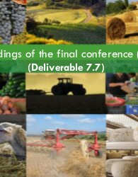 Proceedings of the final conference